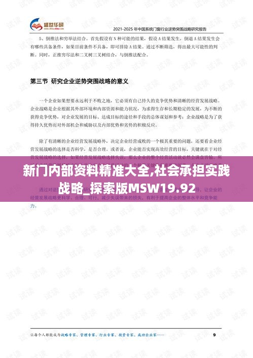 新门内部资料精准大全,社会承担实践战略_探索版MSW19.92