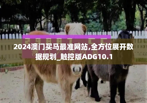 2024澳门买马最准网站,全方位展开数据规划_触控版ADG10.1