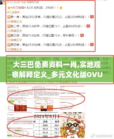 大三巴免费资料一肖,实地观察解释定义_多元文化版OVU10.38