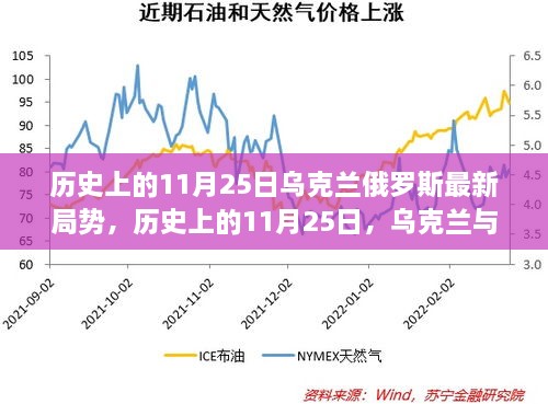 历史上的11月25日，乌克兰与俄罗斯的局势概览