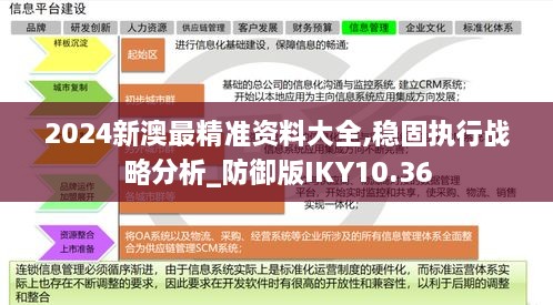 2024新澳最精准资料大全,稳固执行战略分析_防御版IKY10.36