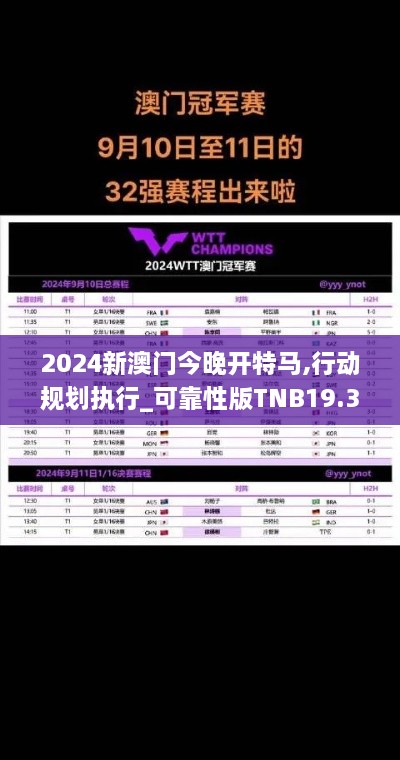 2024新澳门今晚开特马,行动规划执行_可靠性版TNB19.3