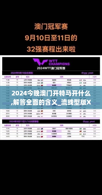 2024今晚澳门开特马开什么,解答全面的含义_流线型版XGU19.17