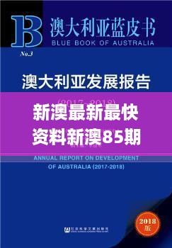 新澳最新最快资料新澳85期,社会承担实践战略_获取版SYT19.87