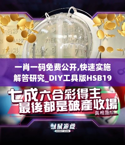 一肖一码免费公开,快速实施解答研究_DIY工具版HSB19.69