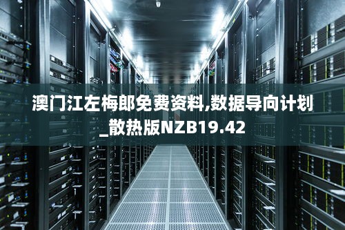 澳门江左梅郎免费资料,数据导向计划_散热版NZB19.42