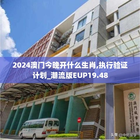 2024澳门今晚开什么生肖,执行验证计划_潮流版EUP19.48