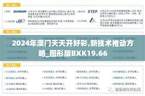 2024年澳门天天开好彩,新技术推动方略_图形版BXK19.66