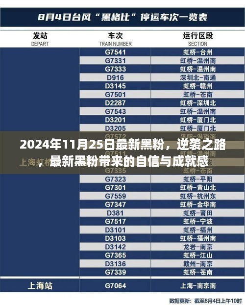 黑粉逆袭之路，自信与成就感的最新篇章（2024年11月25日）