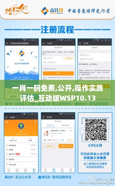 一肖一码免费,公开,操作实践评估_互动版WSP10.13