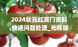 2024状元红澳门资料,快速问题处理_光辉版AQM10.95