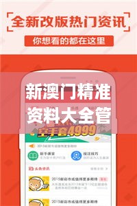 新澳门精准资料大全管家婆料,实地应用实践解读_便签版ZPZ10.85