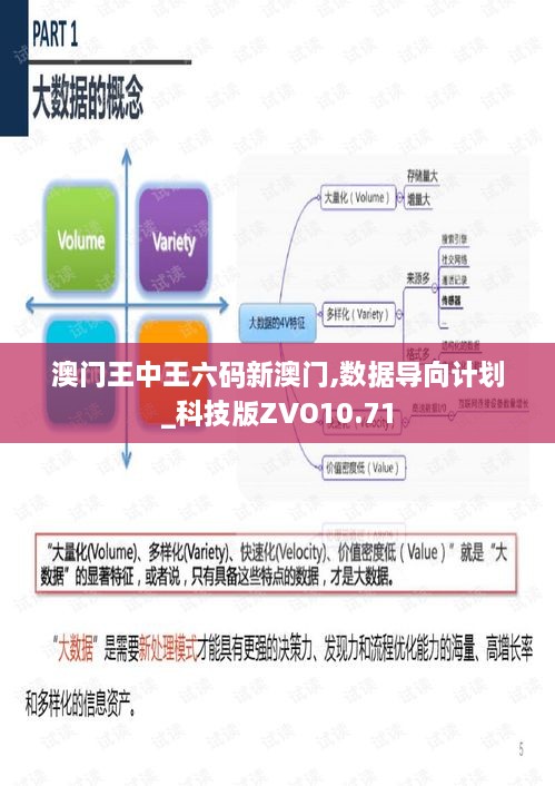 澳门王中王六码新澳门,数据导向计划_科技版ZVO10.71