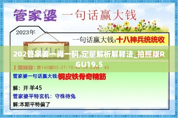 202管家婆一肖一码,定量解析解释法_拍照版RGU19.5