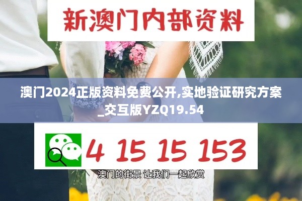 澳门2024正版资料免费公开,实地验证研究方案_交互版YZQ19.54