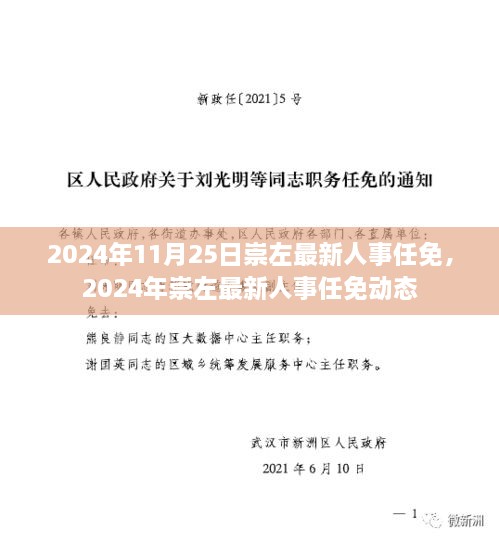 2024年崇左最新人事任免动态公布