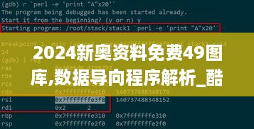 2024新奥资料免费49图库,数据导向程序解析_酷炫版RDI10.24