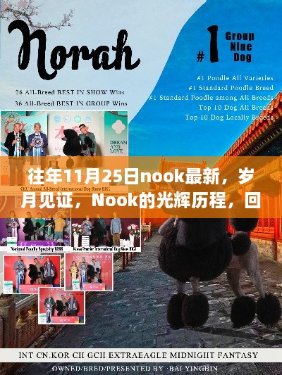 回顾与展望，Nook的光辉历程，历年11月25日的最新篇章与岁月见证