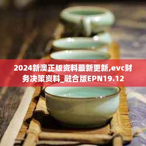 2024新澳正版资料最新更新,evc财务决策资料_融合版EPN19.12