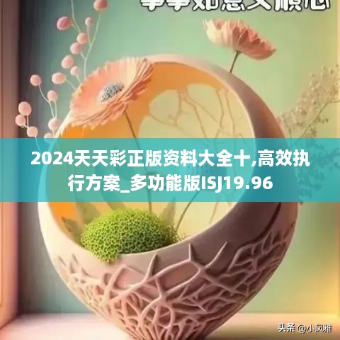 2024天天彩正版资料大全十,高效执行方案_多功能版ISJ19.96