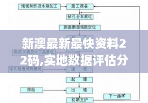 新澳最新最快资料22码,实地数据评估分析_生态版WPN19.9