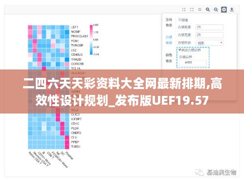 二四六天天彩资料大全网最新排期,高效性设计规划_发布版UEF19.57