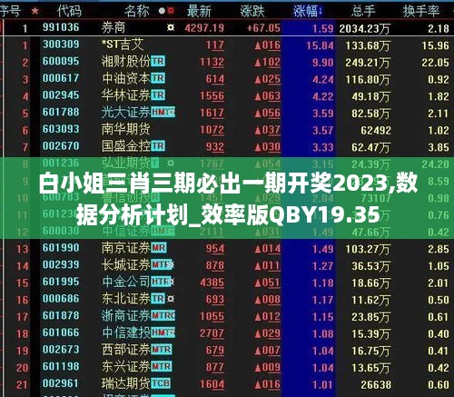 白小姐三肖三期必出一期开奖2023,数据分析计划_效率版QBY19.35