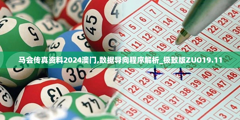 马会传真资料2024澳门,数据导向程序解析_极致版ZUO19.11