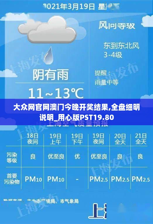 大众网官网澳门今晚开奖结果,全盘细明说明_用心版PST19.80