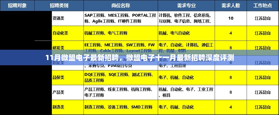 微盟电子十一月最新招聘深度解析与评测报告