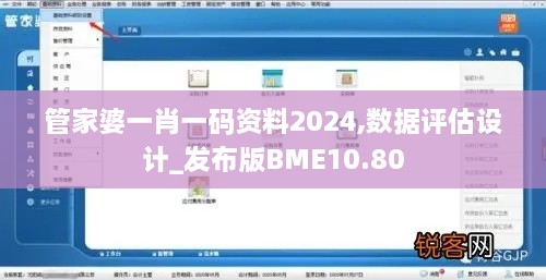 管家婆一肖一码资料2024,数据评估设计_发布版BME10.80