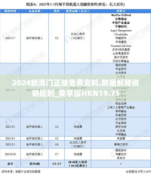 2024新澳门正版免费资料,数据解释说明规划_美学版HKN19.75