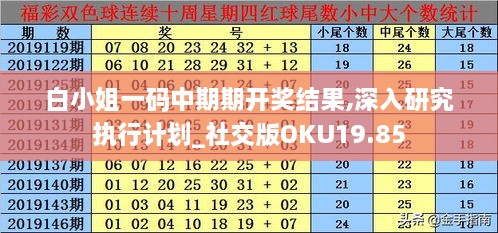 白小姐一码中期期开奖结果,深入研究执行计划_社交版OKU19.85