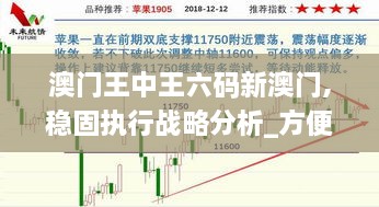 澳门王中王六码新澳门,稳固执行战略分析_方便版GIZ19.59