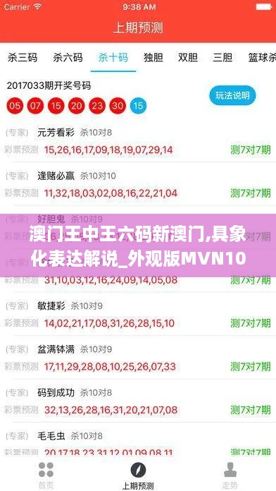 澳门王中王六码新澳门,具象化表达解说_外观版MVN10.69