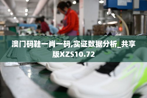 澳门码鞋一肖一码,实证数据分析_共享版XZS10.72