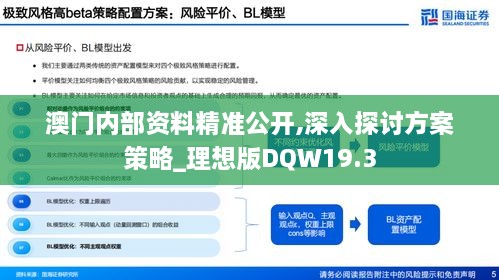 澳门内部资料精准公开,深入探讨方案策略_理想版DQW19.3