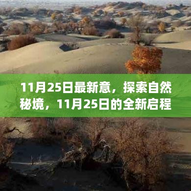 11月25日全新启程，探索自然秘境，寻找内心的宁静与微笑之旅