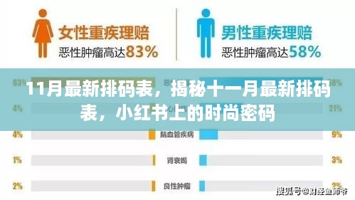 11月最新排码表揭秘，小红书上的时尚密码