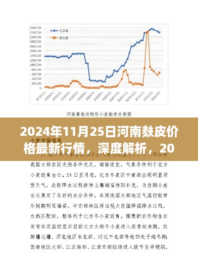 深度解析，河南麸皮价格最新行情及全面评测（2024年11月25日）