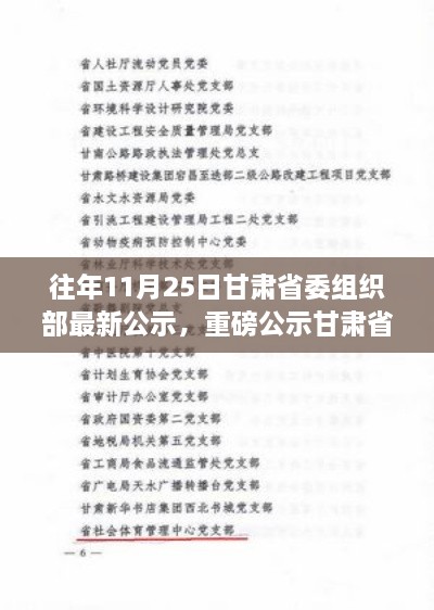 甘肃省委组织部历年11月25日公示精选概览