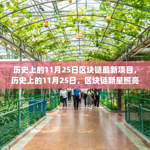 历史上的11月25日，区块链新星引领未来，技术变革成就无限可能的新项目亮相日