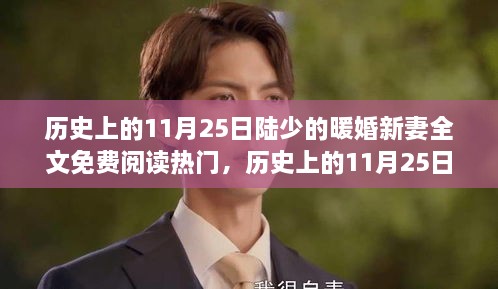 历史上的11月25日，陆少的暖婚新妻全文免费阅读热门话题热议