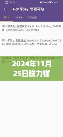 2024年11月磁力猫最新版地址链接深度探讨