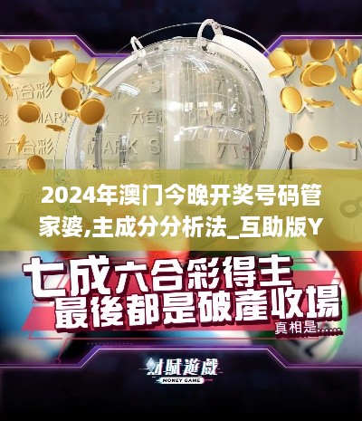 2024年澳门今晚开奖号码管家婆,主成分分析法_互助版YNB14.28