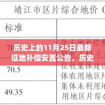 征地补偿安置公告的历史演变与探讨，从1月今日到11月25日的最新公告解读