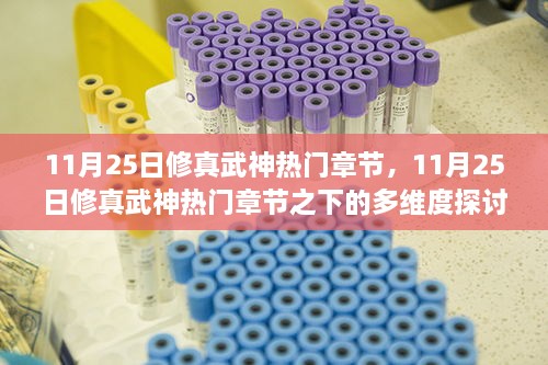 11月25日修真武神热门章节及其多维度探讨