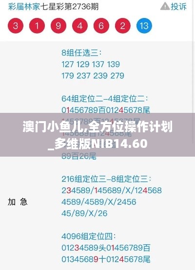 澳门小鱼儿,全方位操作计划_多维版NIB14.60