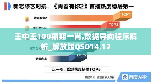 王中王100期期一肖,数据导向程序解析_解放版QSO14.12