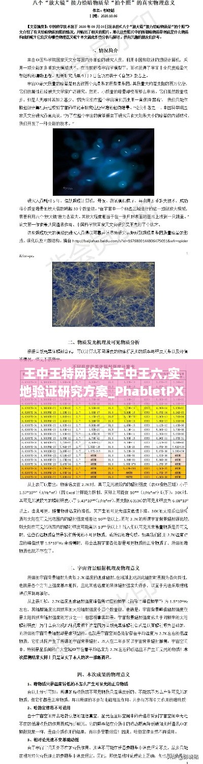 王中王特网资料王中王六,实地验证研究方案_PhabletPXB5.86